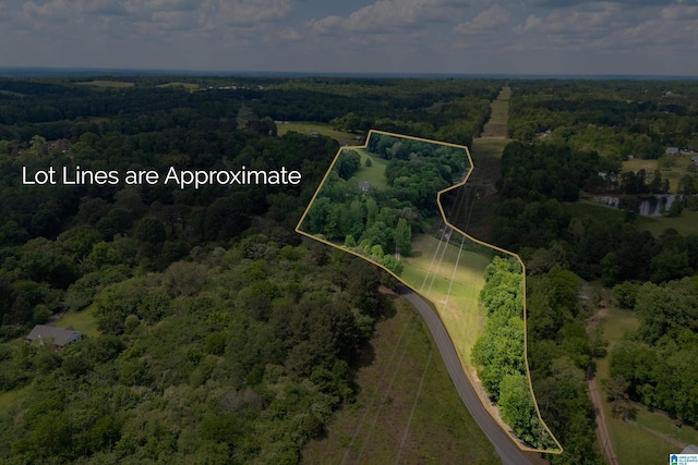 aerial view with a view of trees