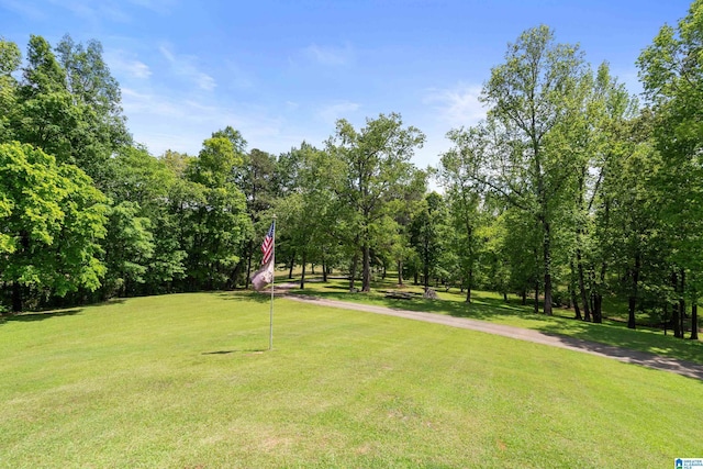 surrounding community with a lawn
