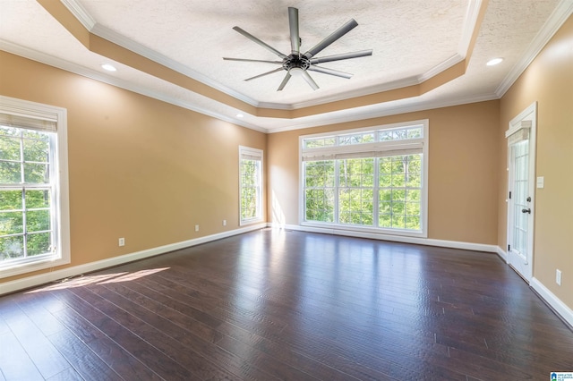 306 Oak Leaf Ln, Glencoe, AL 35905 - unfurnished room featuring plenty of natural light, ornamental molding, and a tray ceiling