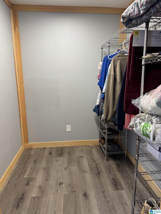 walk in closet featuring wood finished floors