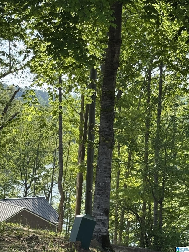 view of nature