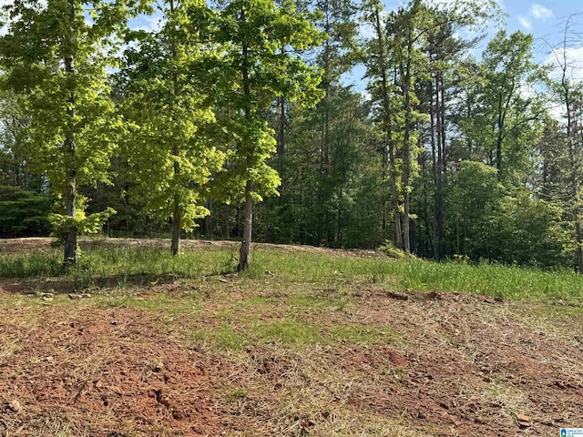 view of nature with a forest view
