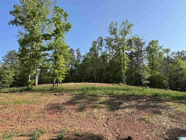 view of local wilderness featuring a view of trees