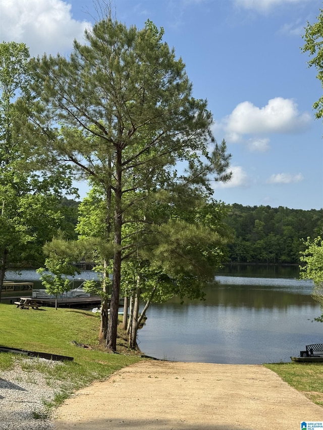 view of water feature with a view of trees