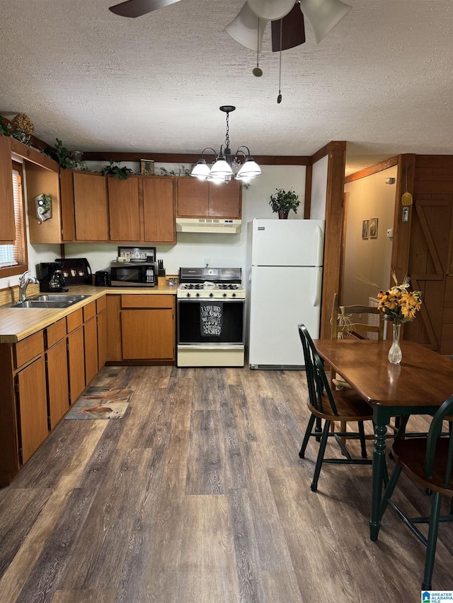 kitchen with a sink, freestanding refrigerator, ceiling fan with notable chandelier, and gas range