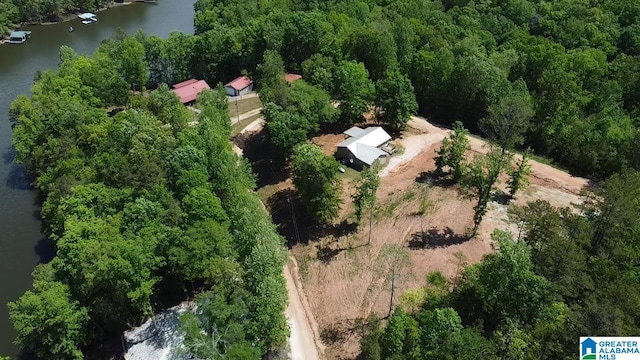 829 Pointe S Dr, Lineville, AL 36266 - aerial view of property's location with a nearby body of water and a forest