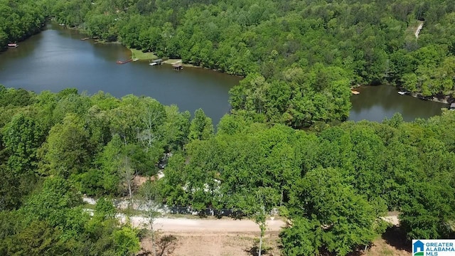 829 Pointe S Dr, Lineville, AL 36266 - drone / aerial view of a forest and a large body of water