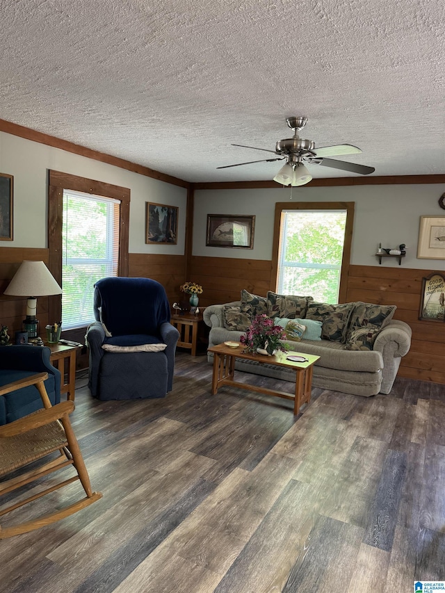 living room featuring a ceiling fan, a textured ceiling, a wainscoted wall, and ornamental molding