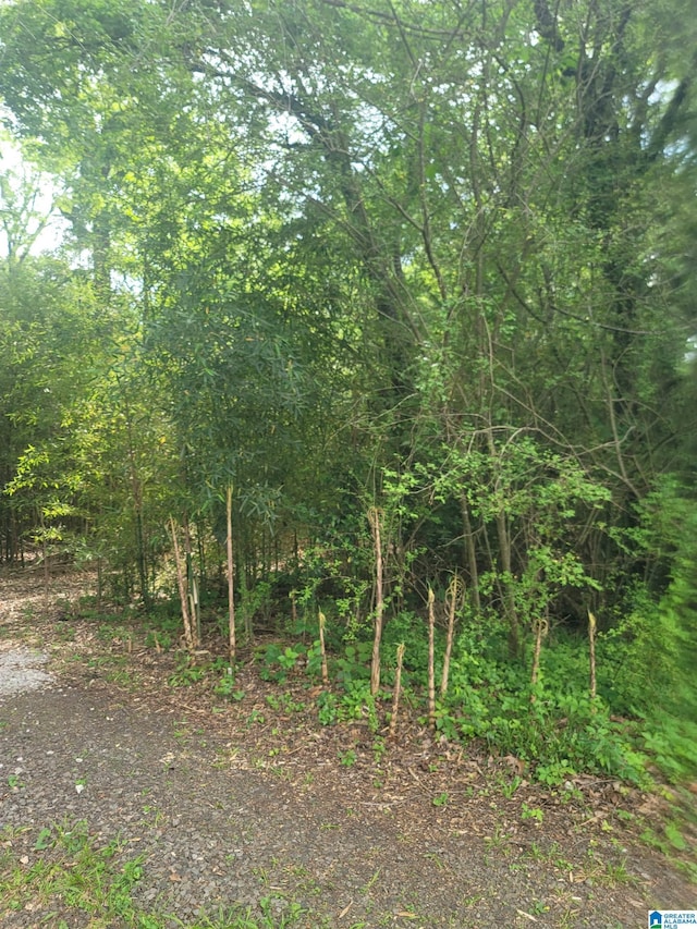 319 Roosevelt Ave Unit 30, Birmingham, AL 35214
