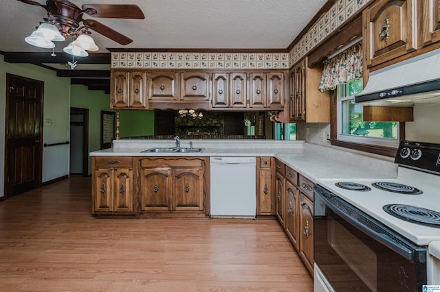 kitchen with white dishwasher, a sink, light countertops, under cabinet range hood, and range with electric stovetop