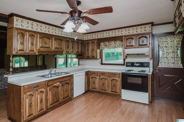 kitchen featuring range with electric stovetop, a sink, white dishwasher, and light countertops