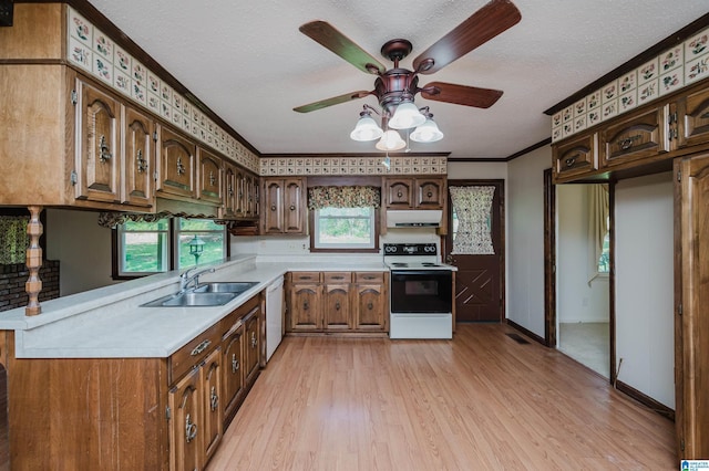 kitchen with a sink, light wood-style floors, dishwasher, under cabinet range hood, and range with electric stovetop