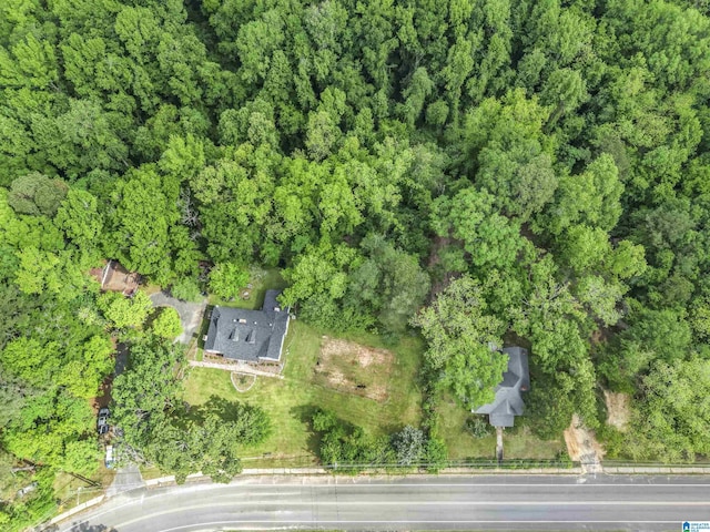 bird's eye view