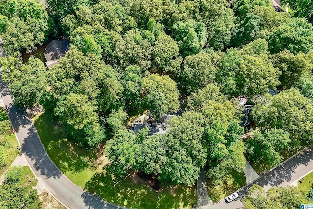 6522 Quail Run Dr, Pelham, AL 35124 - aerial view of property's location