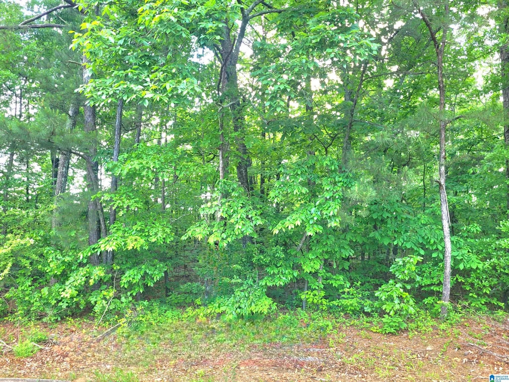 Thomas Ave Unit 1, Talladega, AL 35160