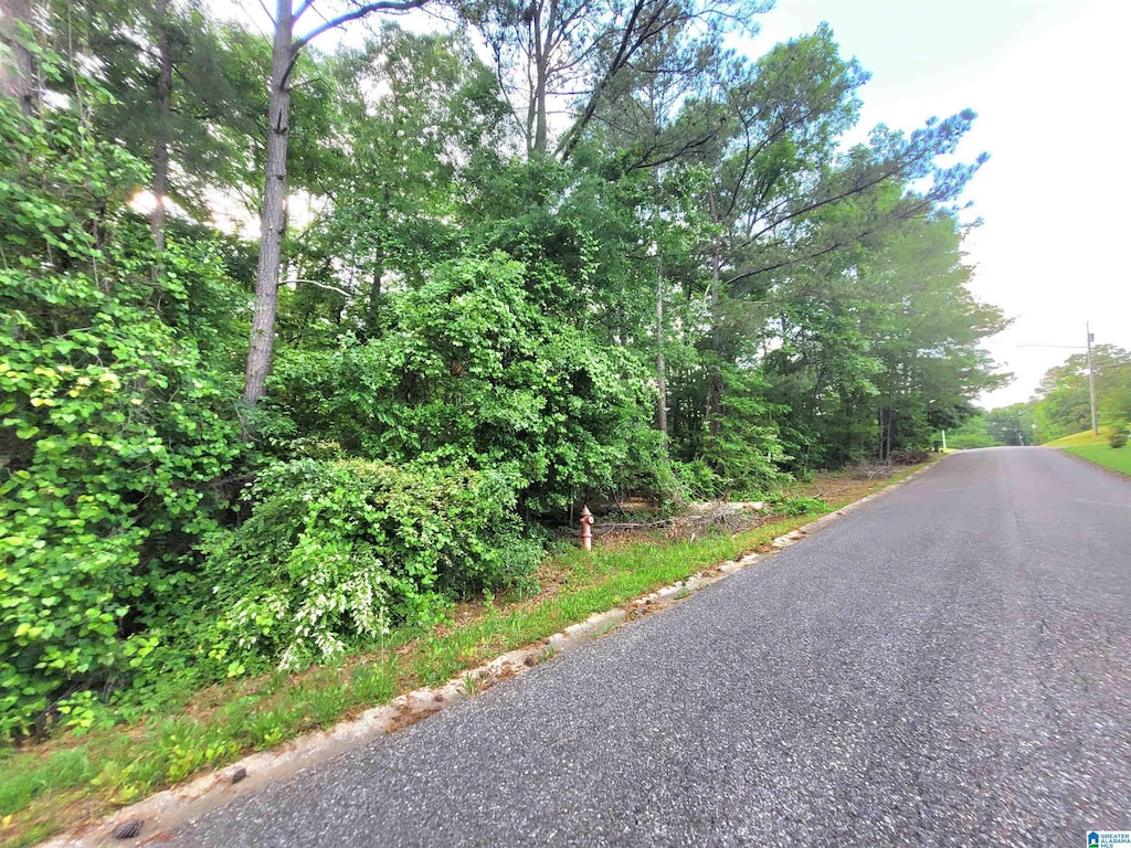 Thomas Ave Unit 1, Talladega, AL 35160