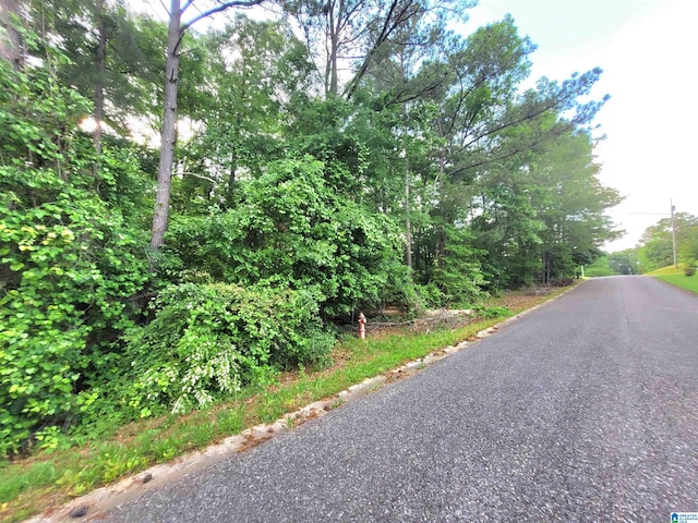 Thomas Ave Unit 1, Talladega, AL 35160