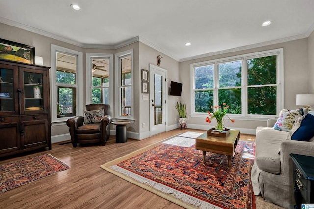 living area with ornamental molding, recessed lighting, and wood finished floors