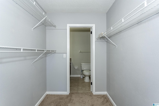 708 Patton Chapel Way Unit 708, Hoover, AL 35226 - spacious closet featuring carpet and tile patterned floors