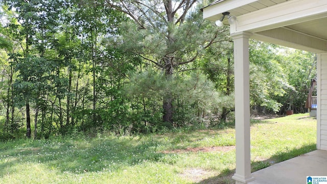 316 Creek Run Cir, Calera, AL 35040 - view of green lawn