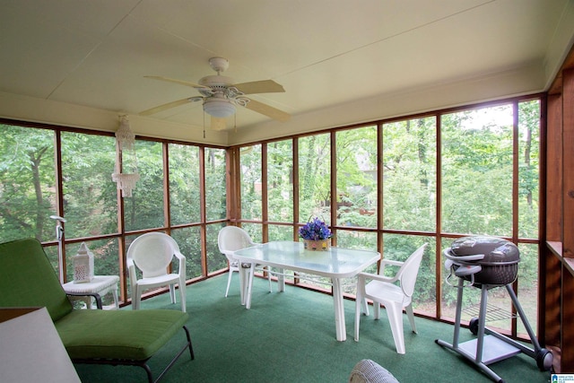 836 Tulip Poplar Dr, Hoover, AL 35244 - sunroom with a ceiling fan and outdoor dining space