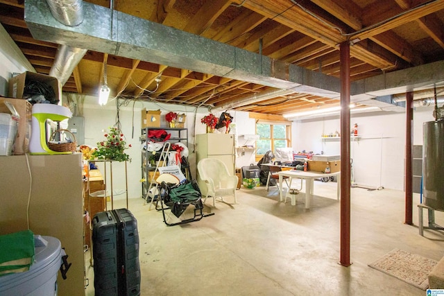 836 Tulip Poplar Dr, Hoover, AL 35244 - below grade area with water heater and freestanding refrigerator