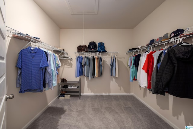 spacious closet featuring carpet floors and attic access