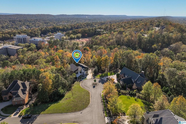 view of property location with a heavily wooded area