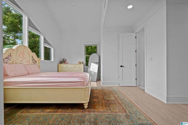 bedroom featuring multiple windows, wood finished floors, baseboards, and recessed lighting