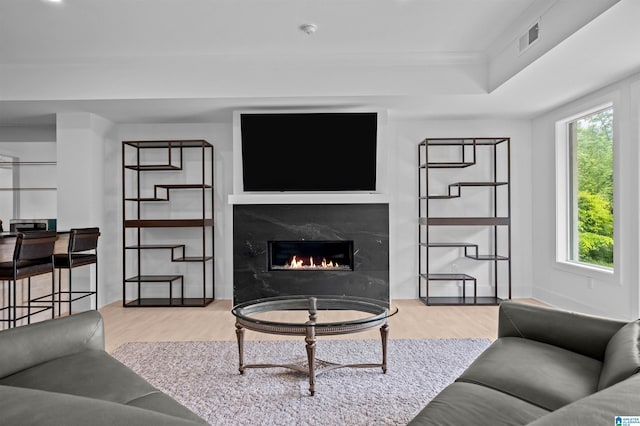 living room featuring wood finished floors, plenty of natural light, and a high end fireplace