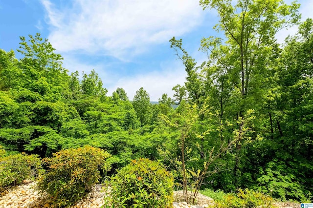 view of wooded area