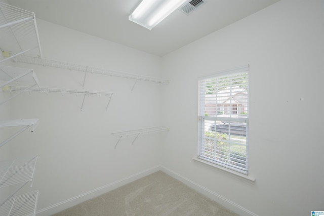 124 Blackstone Ct, Chelsea, AL 35043 - walk in closet featuring light carpet and visible vents