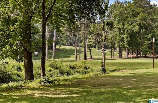 1700 Kestwick Dr, Hoover, AL 35226 - view of home's community with a yard