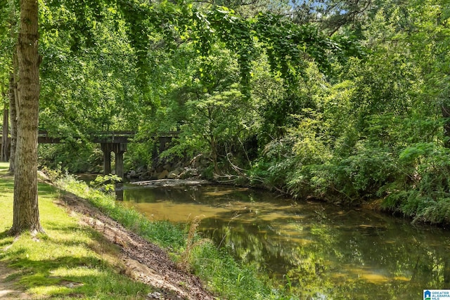 1700 Kestwick Dr, Hoover, AL 35226 - view of landscape