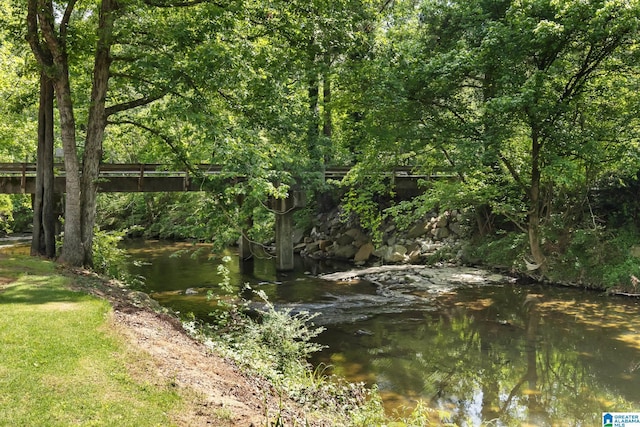 1700 Kestwick Dr, Hoover, AL 35226 - view of local wilderness