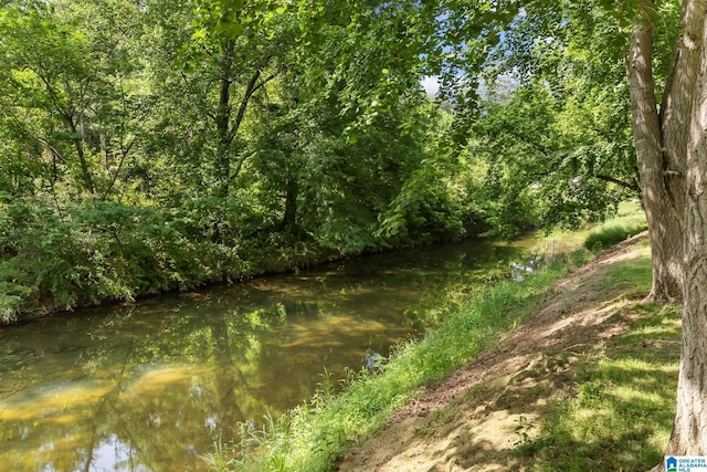 1700 Kestwick Dr, Hoover, AL 35226 - view of nature