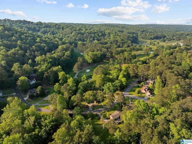 1700 Kestwick Dr, Hoover, AL 35226 - birds eye view of property with a view of trees