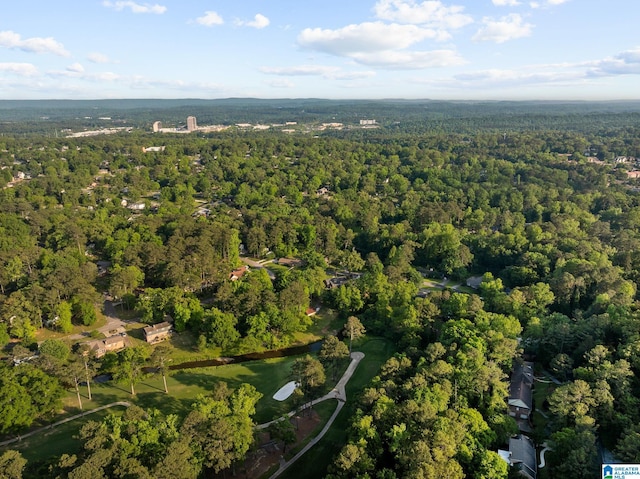 1700 Kestwick Dr, Hoover, AL 35226 - drone / aerial view featuring a view of trees