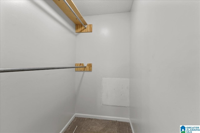 906 Ridgewood Dr, Remlap, AL 35133 - walk in closet featuring carpet