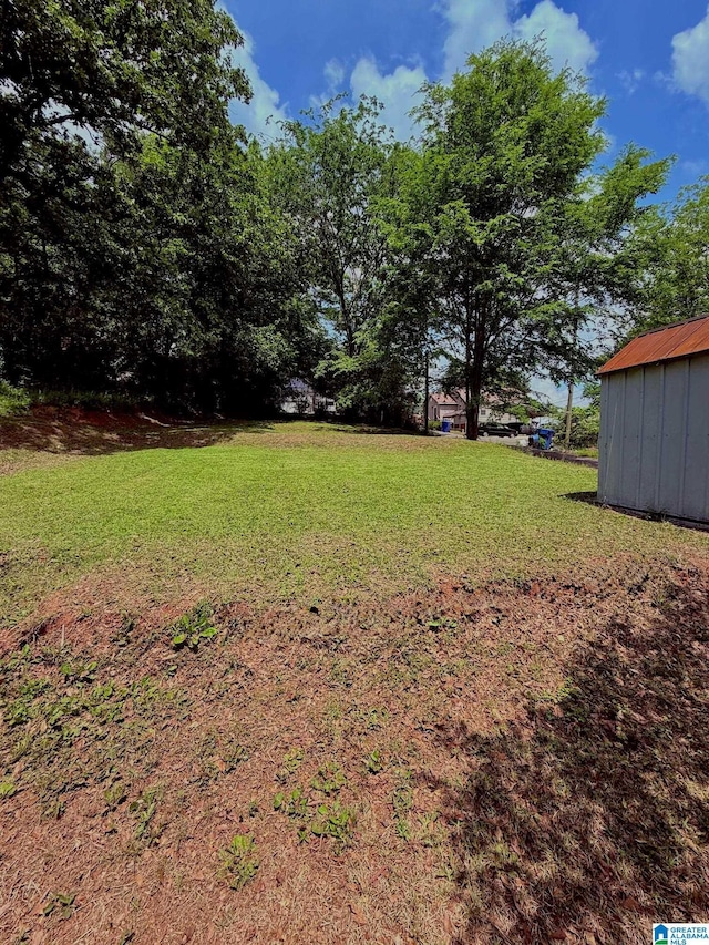 103 Thatcher St, Piedmont, AL 36272 - view of yard