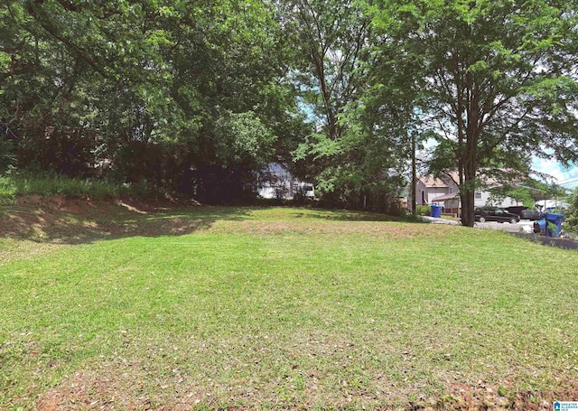 103 Thatcher St, Piedmont, AL 36272 - view of yard
