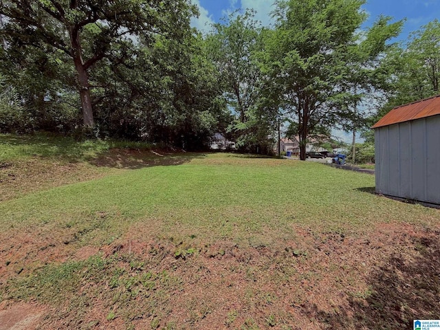 103 Thatcher St, Piedmont, AL 36272 - view of yard