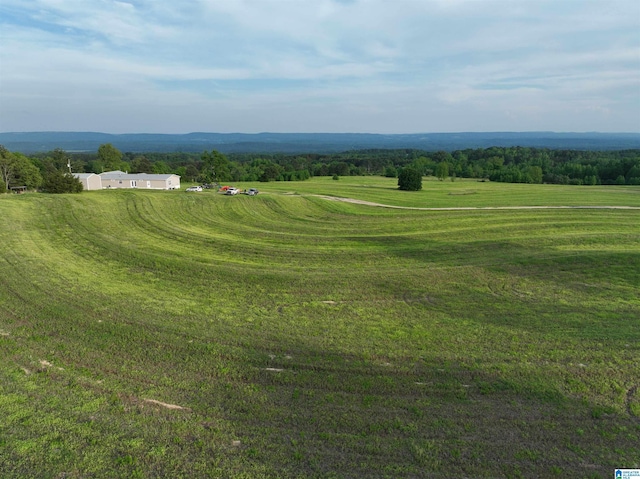 1525 Marvin Adcock Rd, Hayden, AL 35079 - view of home's community with a view of rural / pastoral area