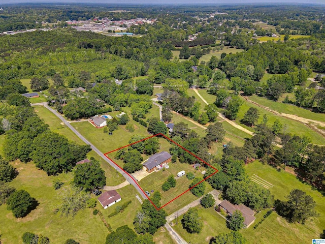 drone / aerial view