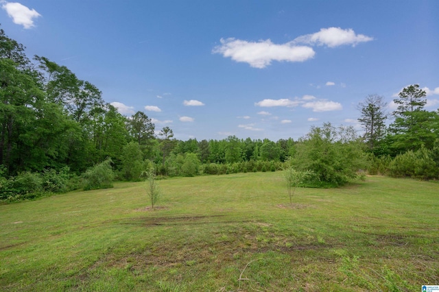 view of local wilderness featuring a forest view