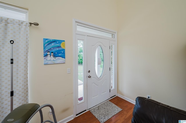 foyer with baseboards, a wealth of natural light, and wood finished floors