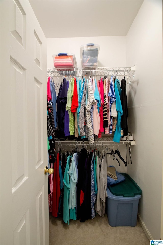 walk in closet featuring carpet flooring