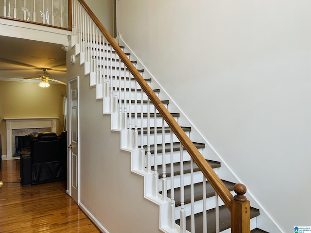 196 King James Ct, Alabaster, AL 35007 - stairs featuring wood finished floors, baseboards, and ceiling fan