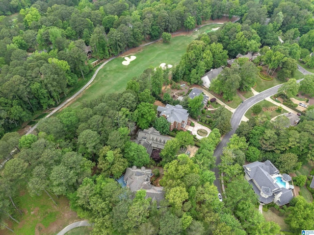 2074 Royal Fern Ln, Hoover, AL 35244 - aerial view