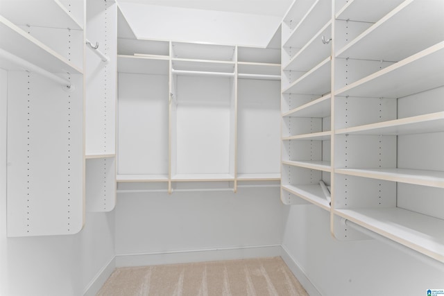 2074 Royal Fern Ln, Hoover, AL 35244 - walk in closet featuring carpet flooring
